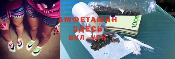 мет Алексин