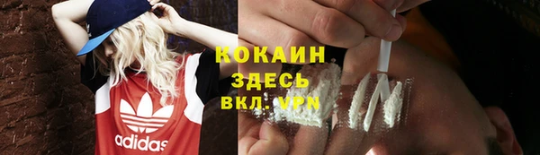 PSILOCYBIN Покачи