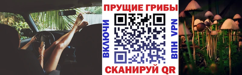 хочу наркоту  Сатка  Псилоцибиновые грибы Magic Shrooms 