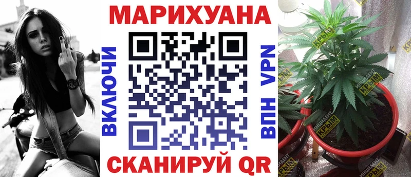Бошки марихуана план  где можно купить наркотик  Сатка 